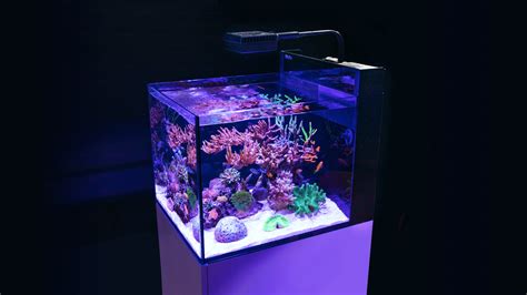 red sea max nano tank